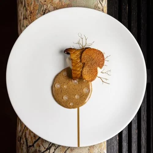 Bougainville — internationaal restaurant in Amsterdam
