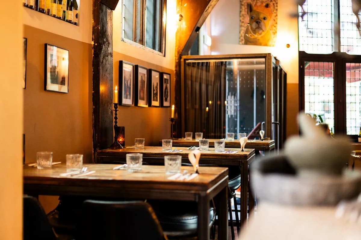 Frenchie in Haarlem