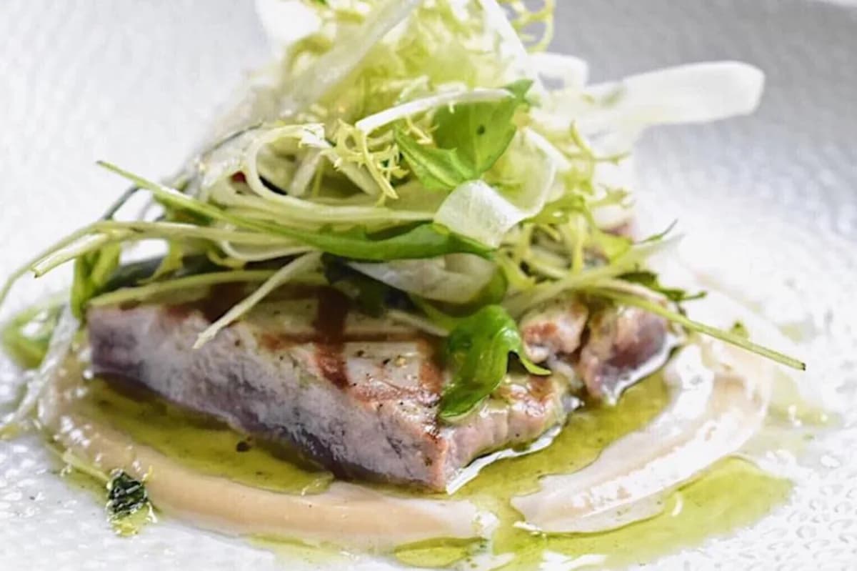 Frisone Pazzo in Heerenveen