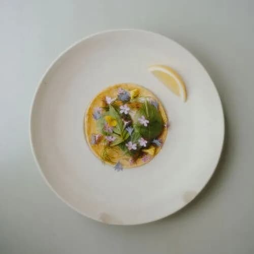 Konijnenvoer — vegetarisch restaurant in Arnhem
