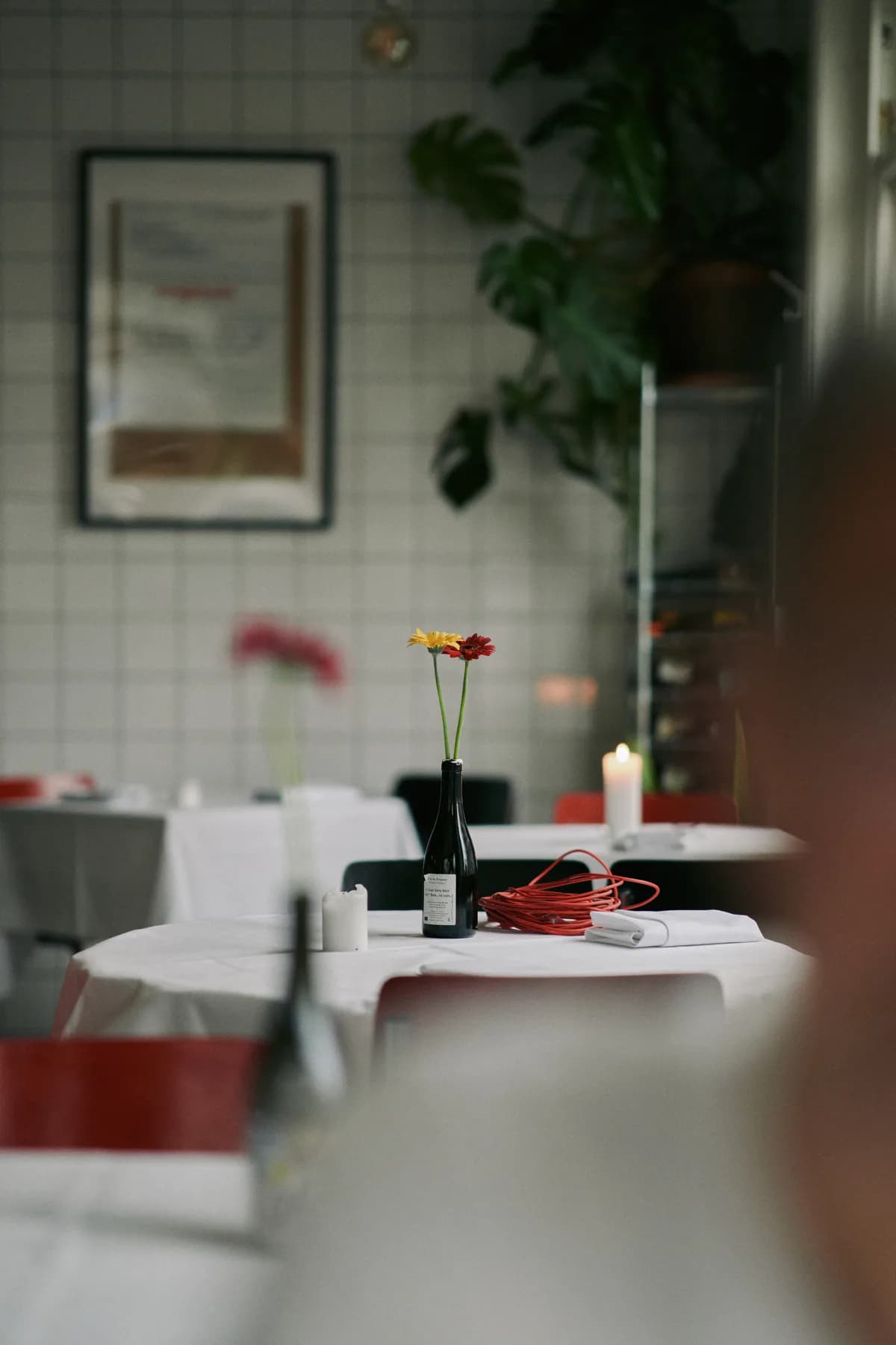 Remouillage in Amsterdam