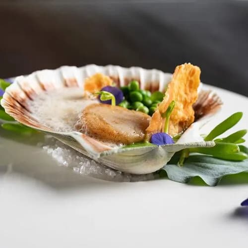 Restaurant Darwin — internationaal restaurant in Heerlen