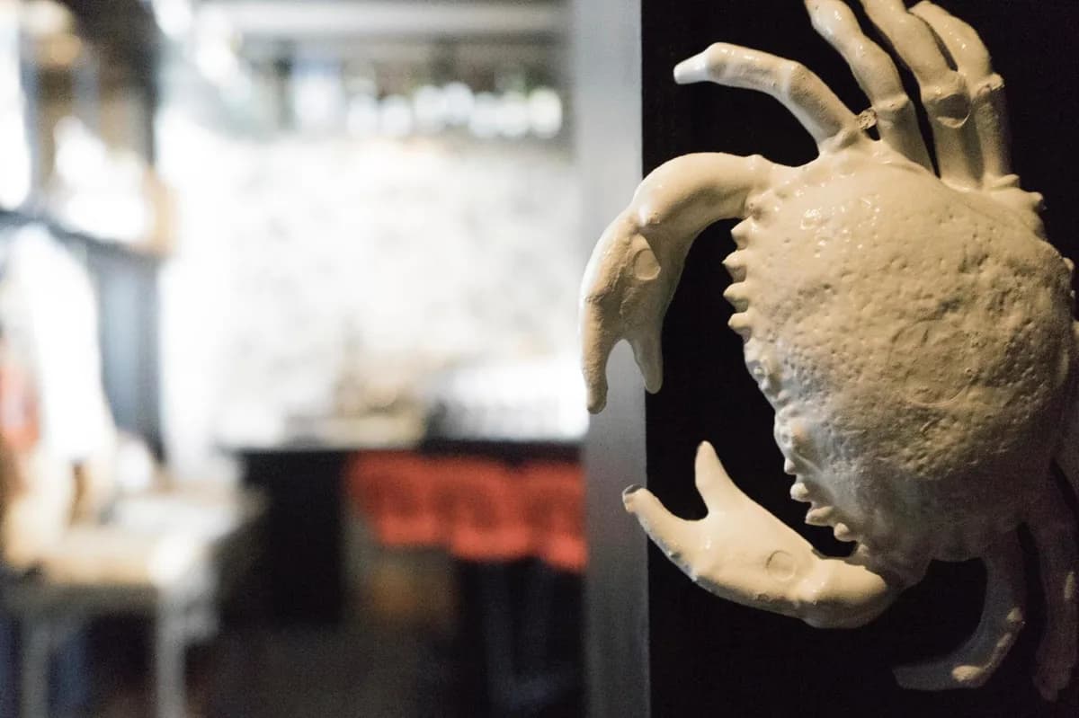 Zuid by Adrian Zarzo — wereldkeuken restaurant in Eindhoven
